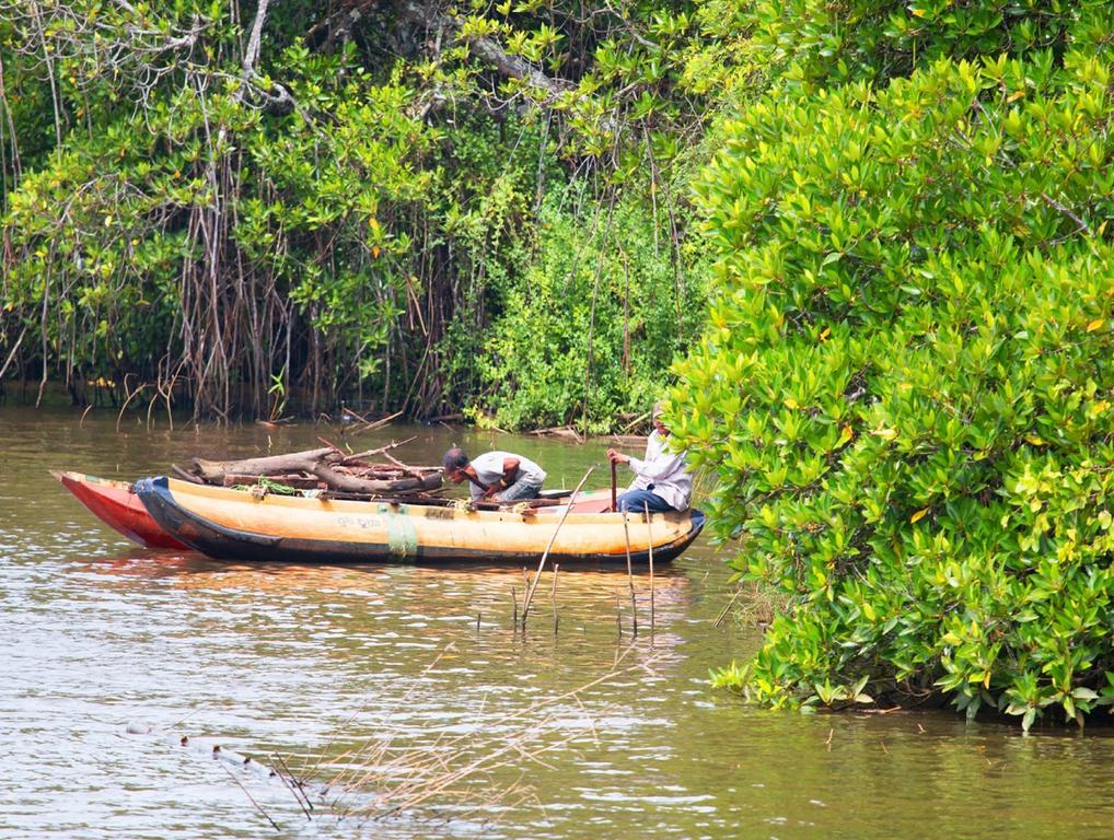 Okvin River Villa Bentota Buitenkant foto